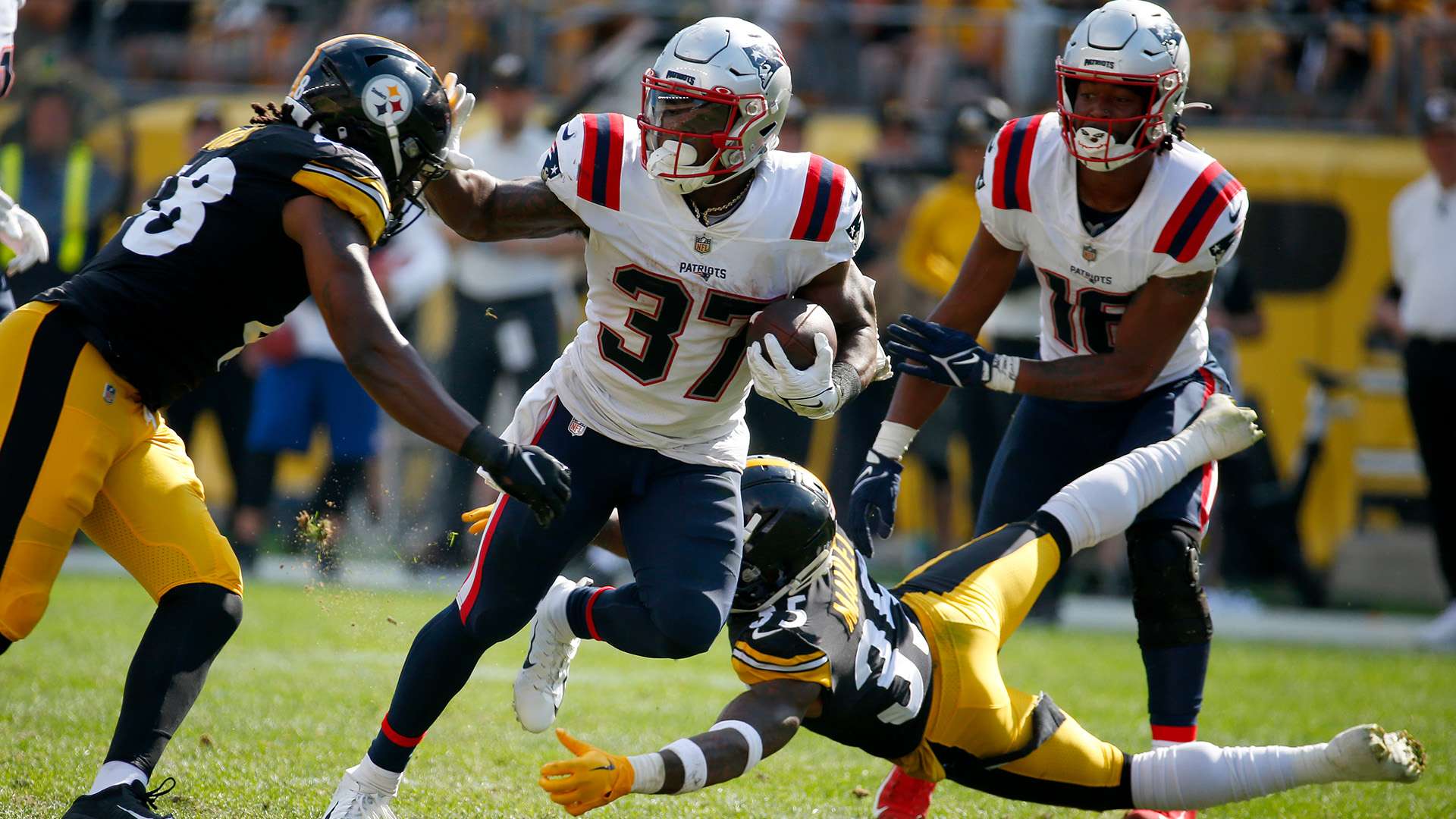 這番話不僅 這番話不僅