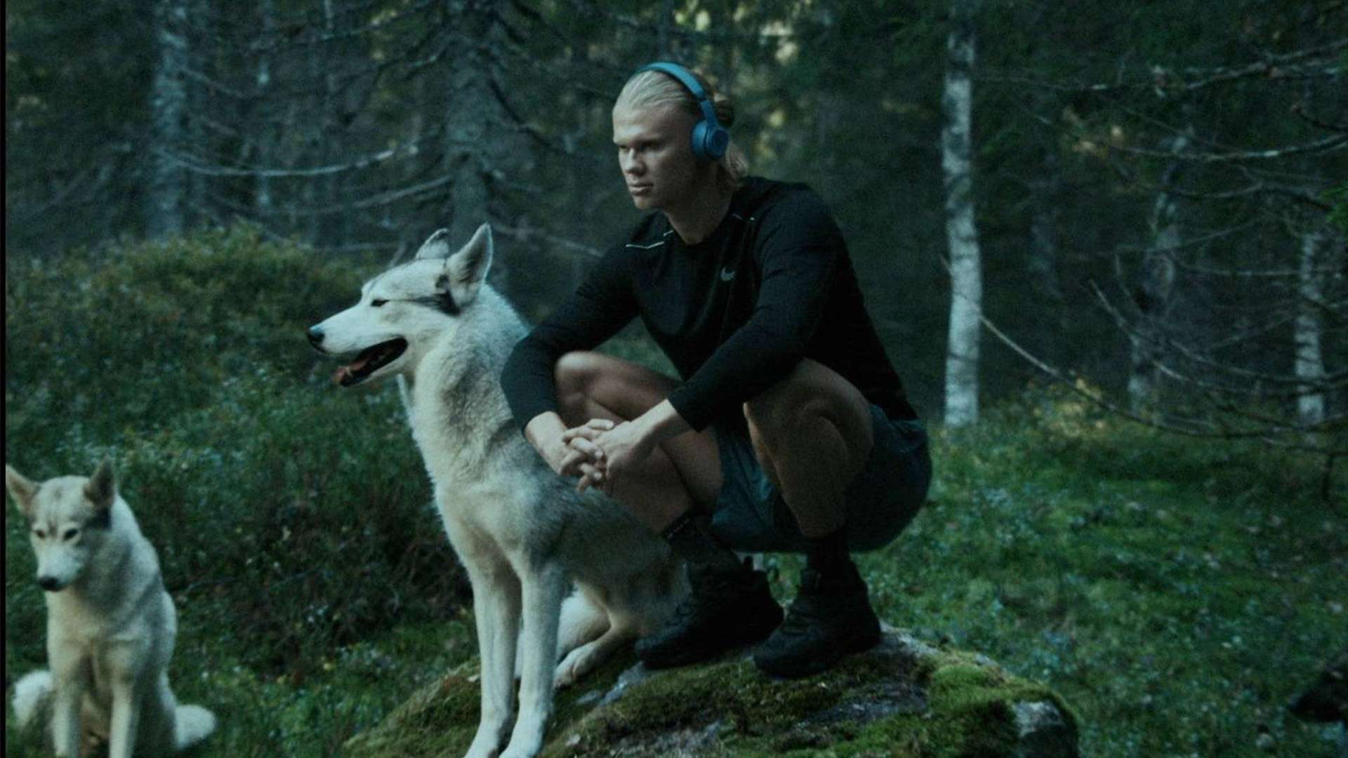 個人數據上 個人數據上